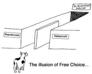 The Illusion of Free Choice democrats republicans
